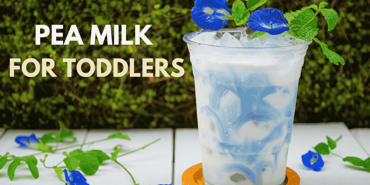 Pea Milk for Toddler