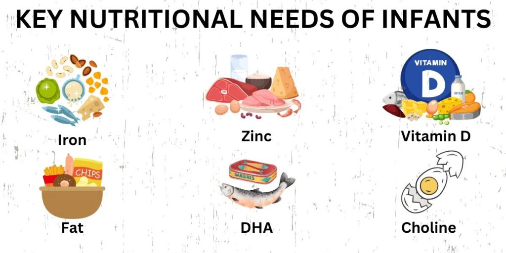 Key Nutritional Needs of Infants