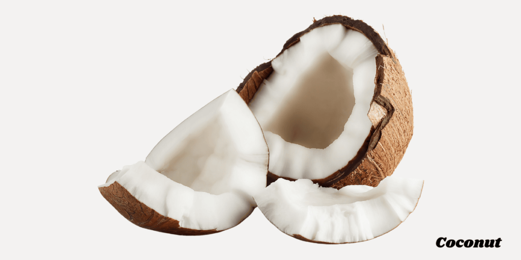 Coconut