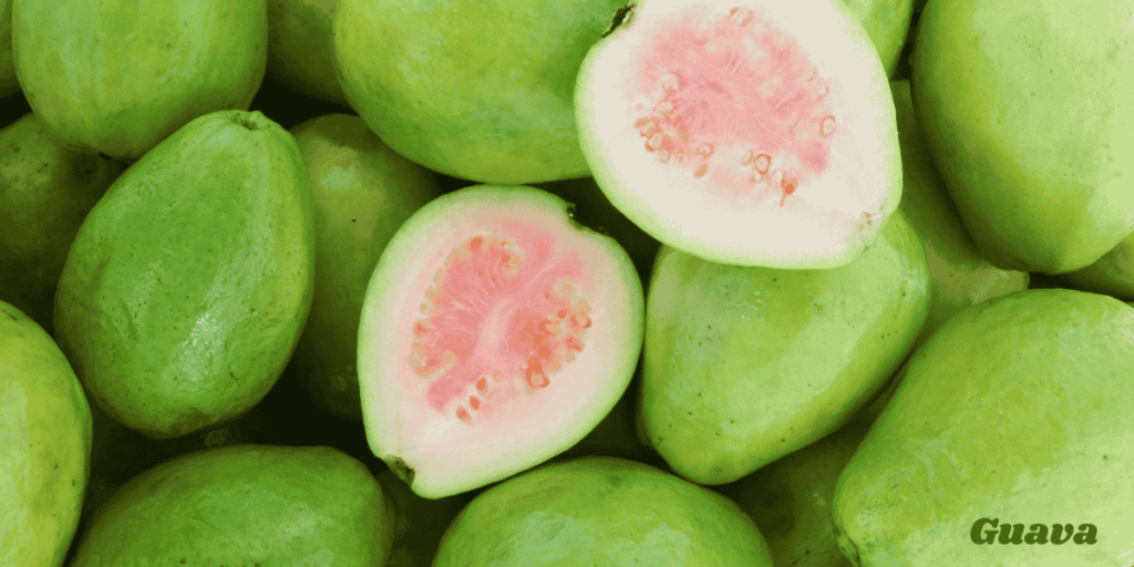 Guava