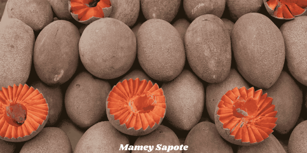 Mamey Sapote